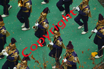 Dscf2910_112504