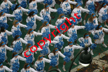 Img_3580_112505